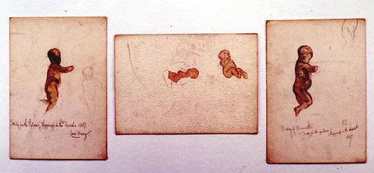Studie eines Babys für 