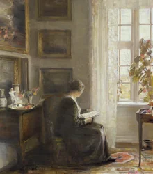 Lesen am sonnigen Fenster