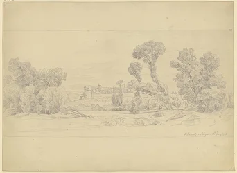 Baumstudie aus der Gegend von Villeneuve bei Avignon