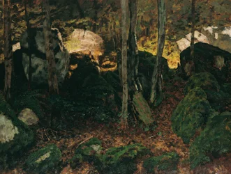 Waldinneres bei Saut du Doubs