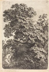 Satyr und Nymphe in einem Sumpf