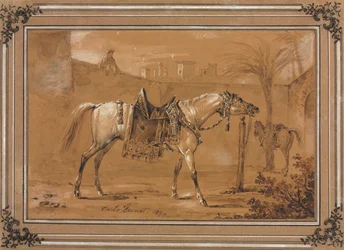 Gesatteltes arabisches Pferd im Hof