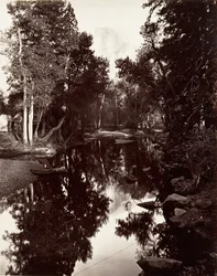 Südkuppel, 6.000 Fuß, Yosemite, ca. 1872, gedruckt ca. 1876