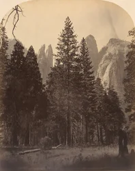 Kathedralentürme, 1861