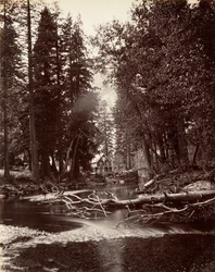 Hutchings Hotel, Yosemite