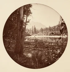 [Yosemite-Nationalpark, Kalifornien], ca. 1878.