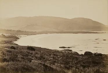 [Küstenansicht, Monterey]