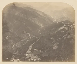 Josephine und Kiefer