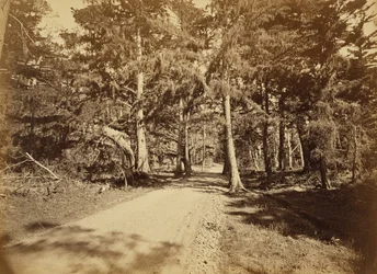 Monterey, Kalifornien. Moss Avenue, 18 Mile Drive.