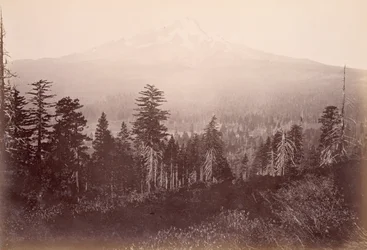 [Mount Shasta]