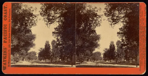 Baumgesäumte Straßenansicht von San Gabriel, Kalifornien
