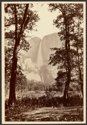 Yosemite-Fälle