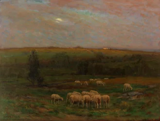 Abend nach einem Regenschauer