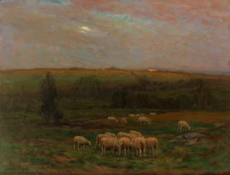 Abend nach einem Regenschauer