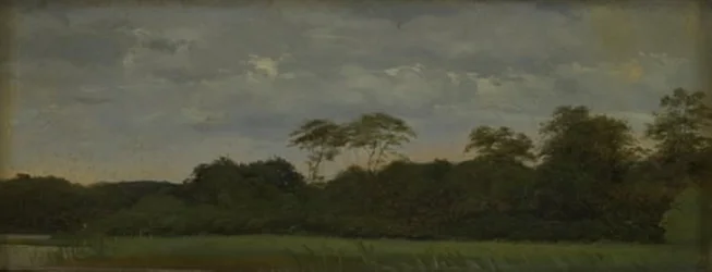 Eine Wiese an einem Waldsee