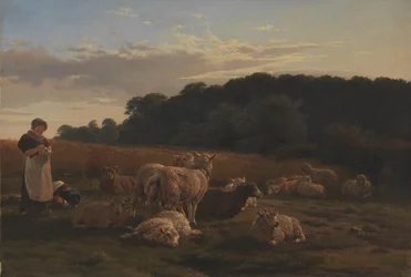 Eine Schafherde. Motiv aus dem Faxingewald bei Nysø