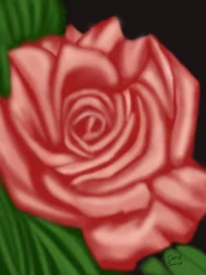 Erinnerung an eine Rose