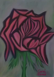 Rosa modernista