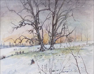 Winter
