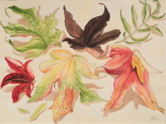 Herbstblätter, 1993