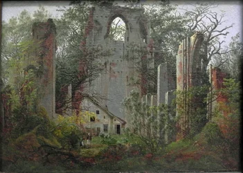 Ruinen des Klosters Eldena bei Greifswald