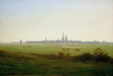 Wiesen bei Greifswald