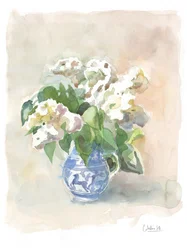 Weiche weiße Blumen blauer Krug