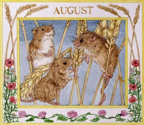 August