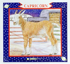 Steinbock