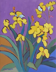 Sommer-Iris-Garten, 2024