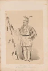 Joc-o-sot, der wandelnde Bär