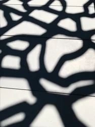 Komposition - Schatten, 2021
