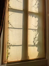 Komposition - Schatten, 2021