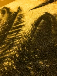 Komposition - Schatten