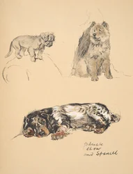 Pekinese, Chow und Spaniel, 1930, Illustrationen aus seinem Skizzenbuch verwendet für Just Among Friends, Aldin, Cecil Charles Windsor (1870-1935), später veröffentlicht von Eyre und Spottiswoode Limited, 1934