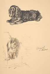 Spaniel und Chow, 1930, Illustrationen aus seinem Skizzenbuch verwendet für Just Among Friends, Aldin, Cecil Charles Windsor (1870-1935), später veröffentlicht von Eyre und Spottiswoode Limited, 1934