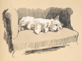 West Highlander, 1930, Illustrationen aus seinem Skizzenbuch verwendet für 