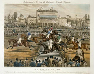 Die Royal Birthday Stakes, Worcester, 14. März 1856: Haupttribüne