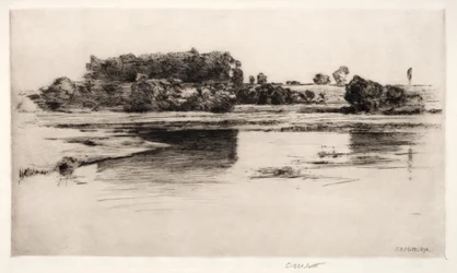 Der Charles River, 1890