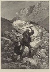 Töten von Vipern im Wald von Fontainebleau