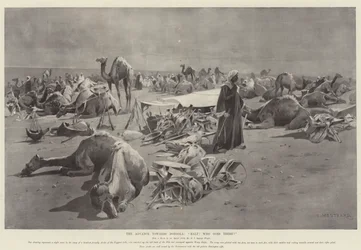 Der Vormarsch nach Dongola, Halt! Wer da?