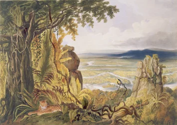 Der Comuti oder Taquiare Felsen am Essequibo-Fluss, aus 