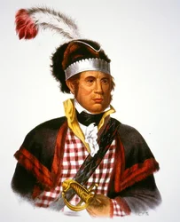 Häuptling McIntosh, Illustration aus 