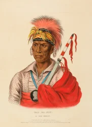 TEH-RO-HON, ein Ioway-Krieger, aus Geschichte der Indianerstämme Nordamerikas