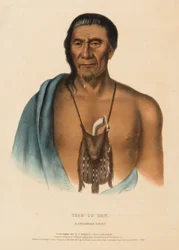 TISH-CO-HAN. EIN DELAWARE HÄUPTLING., aus Geschichte der Indianerstämme Nordamerikas