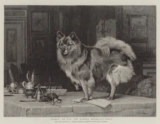 Marco auf dem Frühstückstisch Ihrer Majestät der Königin