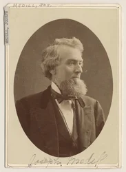 Porträt von Joseph Medill, ca. 1876