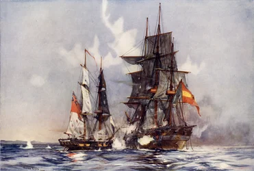 Die Speedy erobert die Gamo