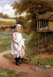 Die Kaninchen füttern