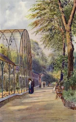 Londoner Zoo: Westliche Voliere